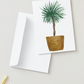 Plant Greeting Card Boxed Set