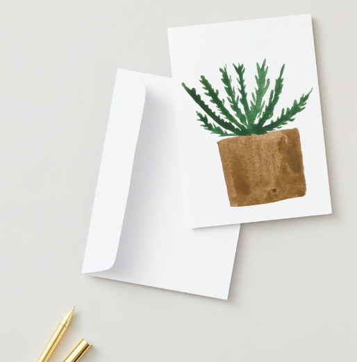 Plant Greeting Card Boxed Set