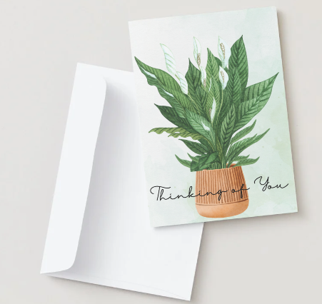 Thinking of You Greeting Card