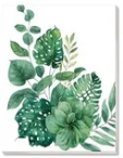 Plant Paint Kits