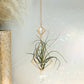Air Plant Suncatcher - The Leafy Branch