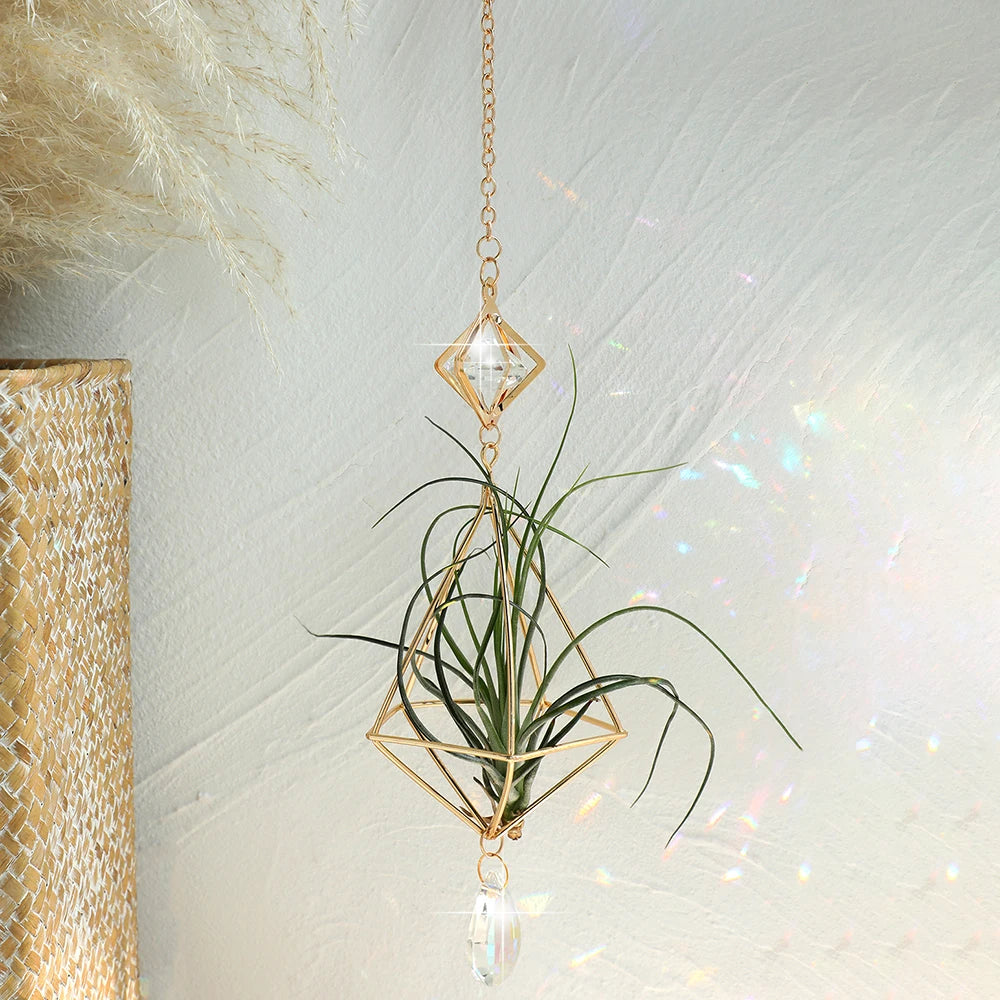 Air Plant Suncatcher - The Leafy Branch
