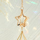 Air Plant Suncatcher - The Leafy Branch