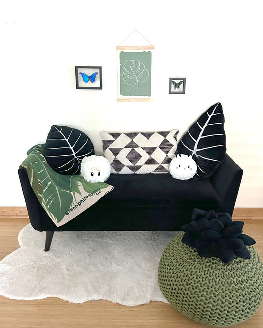 Alocasia Frydek - Obsidian