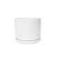 Solid Goods - Ceramic Cylinder with Saucer
