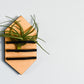 Geometric Air Plant Holder - The Leafy Branch