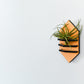 Geometric Air Plant Holder - The Leafy Branch