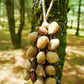 Hand Bell | Handmade Mixed Seed Shaker