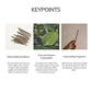 Palo Santo Incense Cones - Handmade in Ecuador (20 pcs)