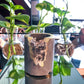 Crystal & Concrete Air Plant Pot Set
