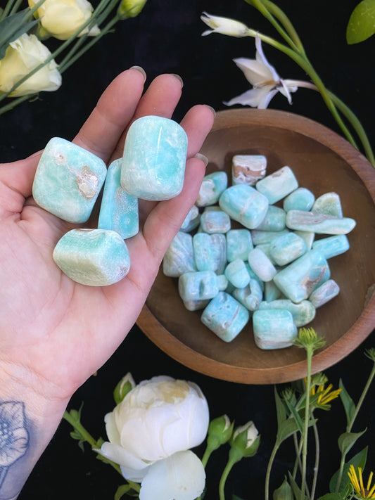 Blue Aragonite - Tumbled - The Leafy Branch