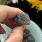 Columbianite Tektite Crystals - (Very Rare) Authentic - The Leafy Branch