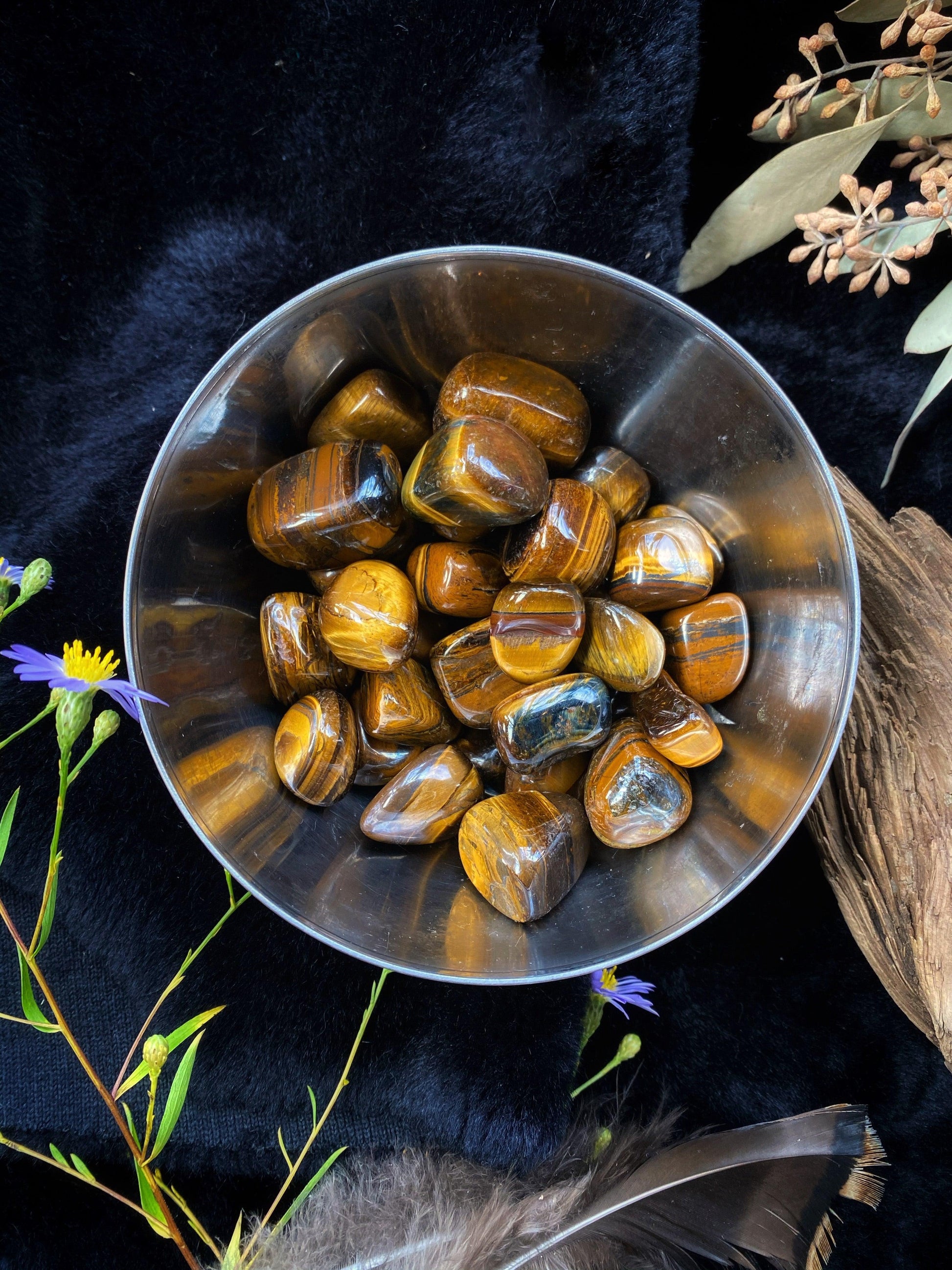 Yellow Tiger’s Eye - Tumbled - The Leafy Branch