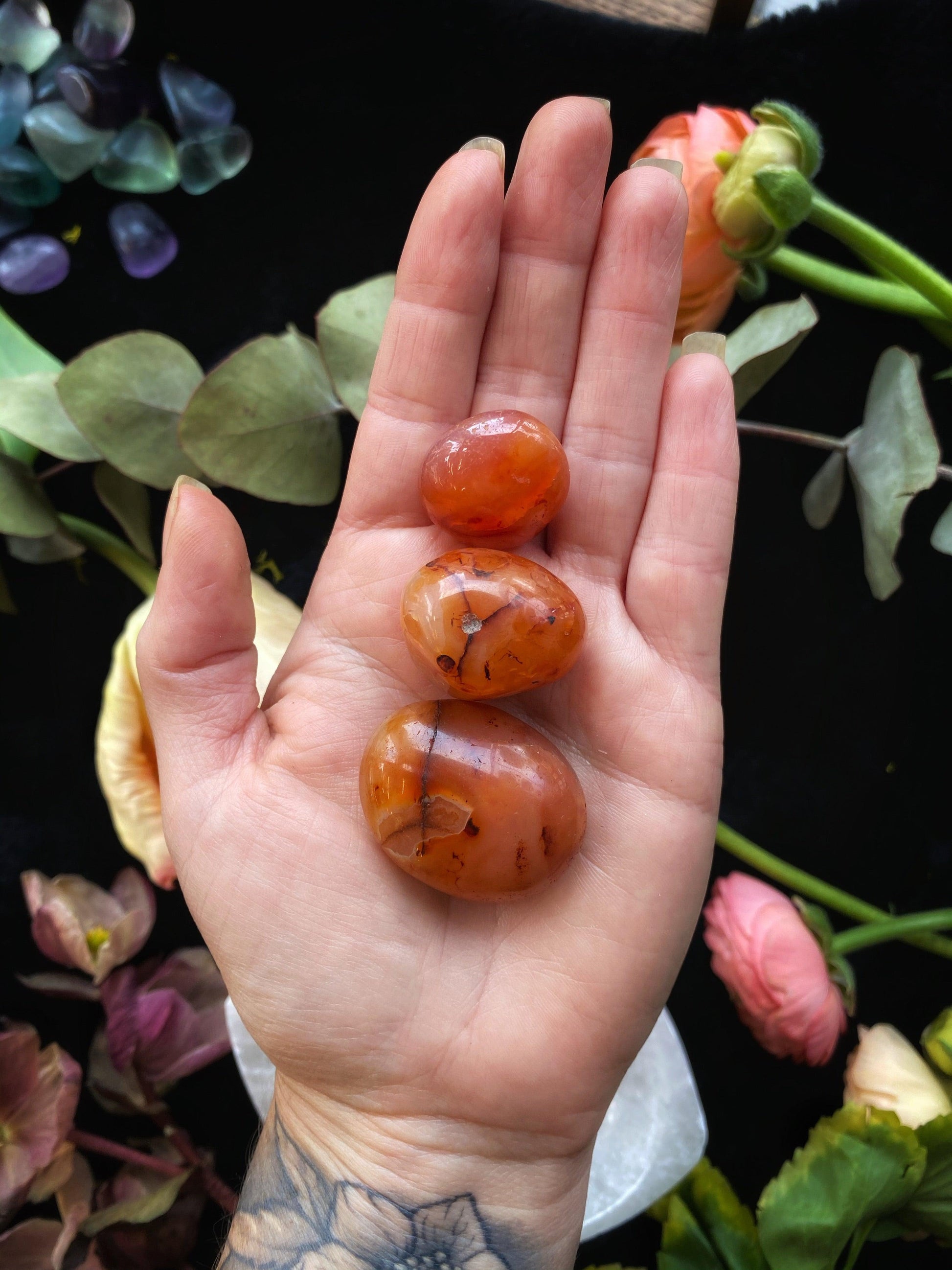 Tumbled Carnelian - The Leafy Branch