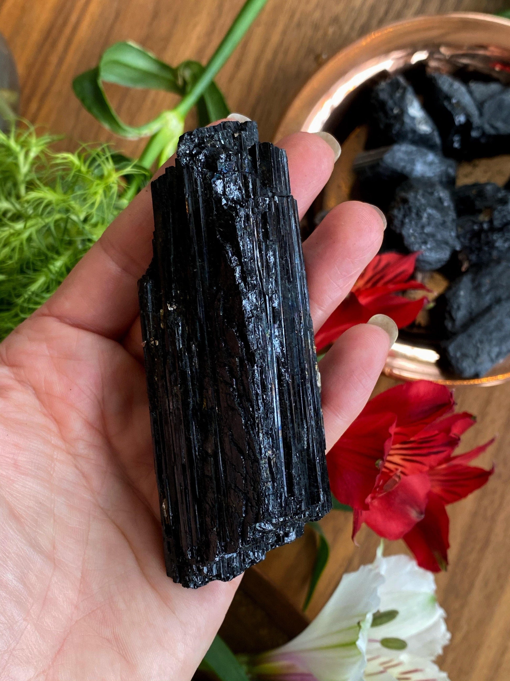 Black Tourmaline - The Leafy Branch