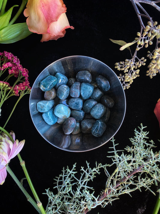 Tumbled Blue Apatite - The Leafy Branch