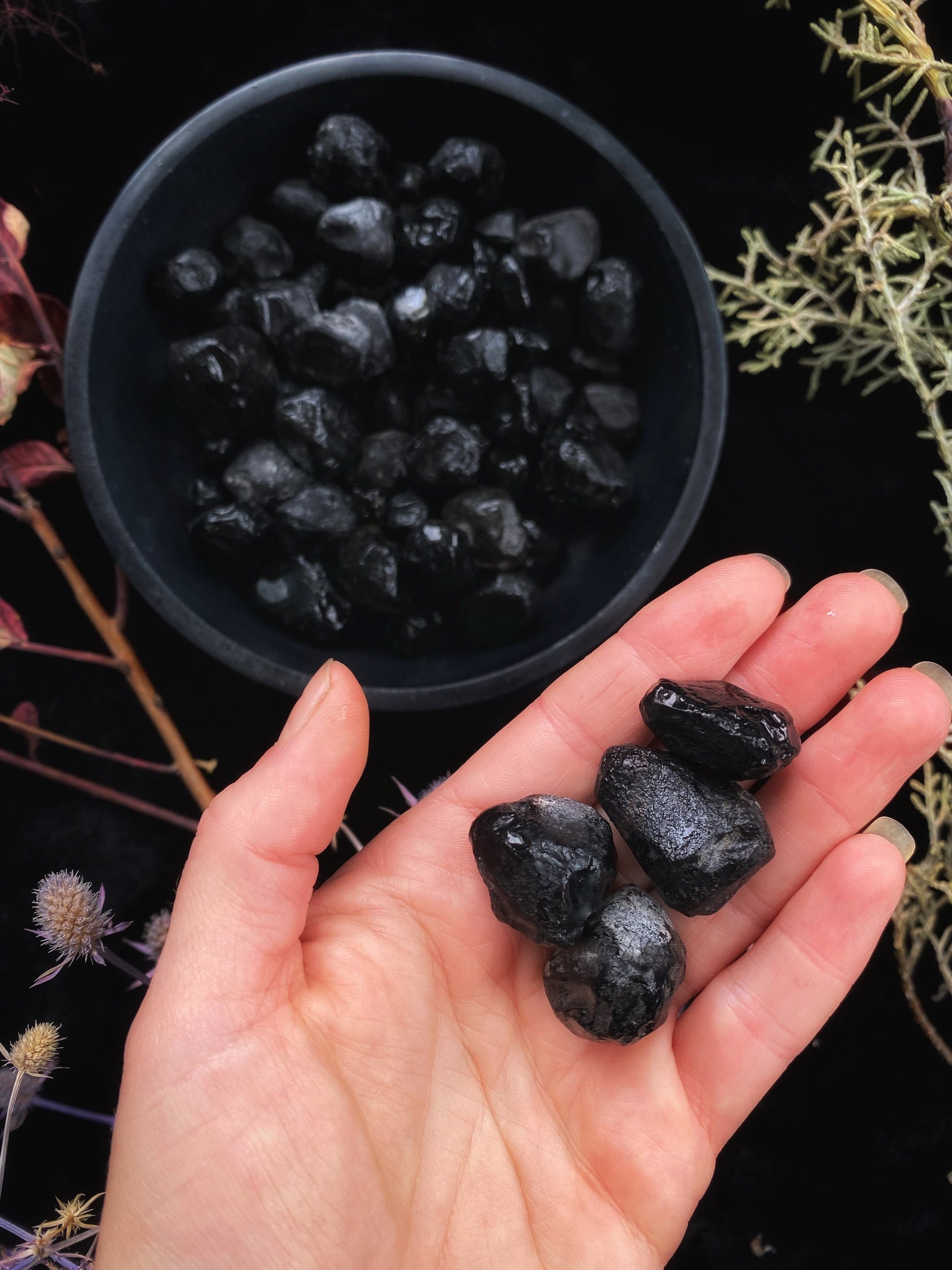 Apache's Tears Obsidian (Black) - Raw - The Leafy Branch