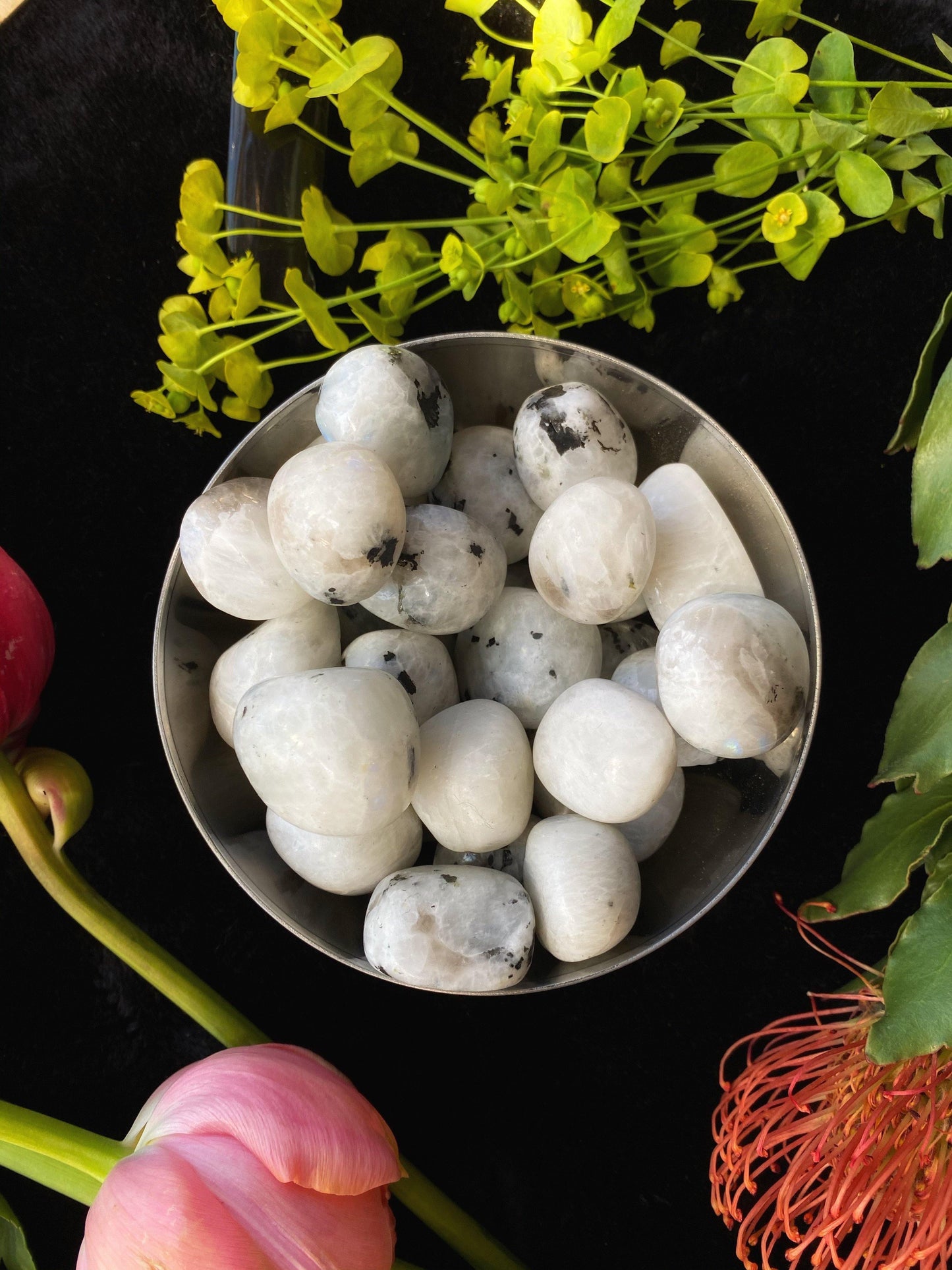 Rainbow Moonstone - Tumbled - The Leafy Branch
