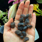 Columbianite Tektite Crystals - (Very Rare) Authentic - The Leafy Branch
