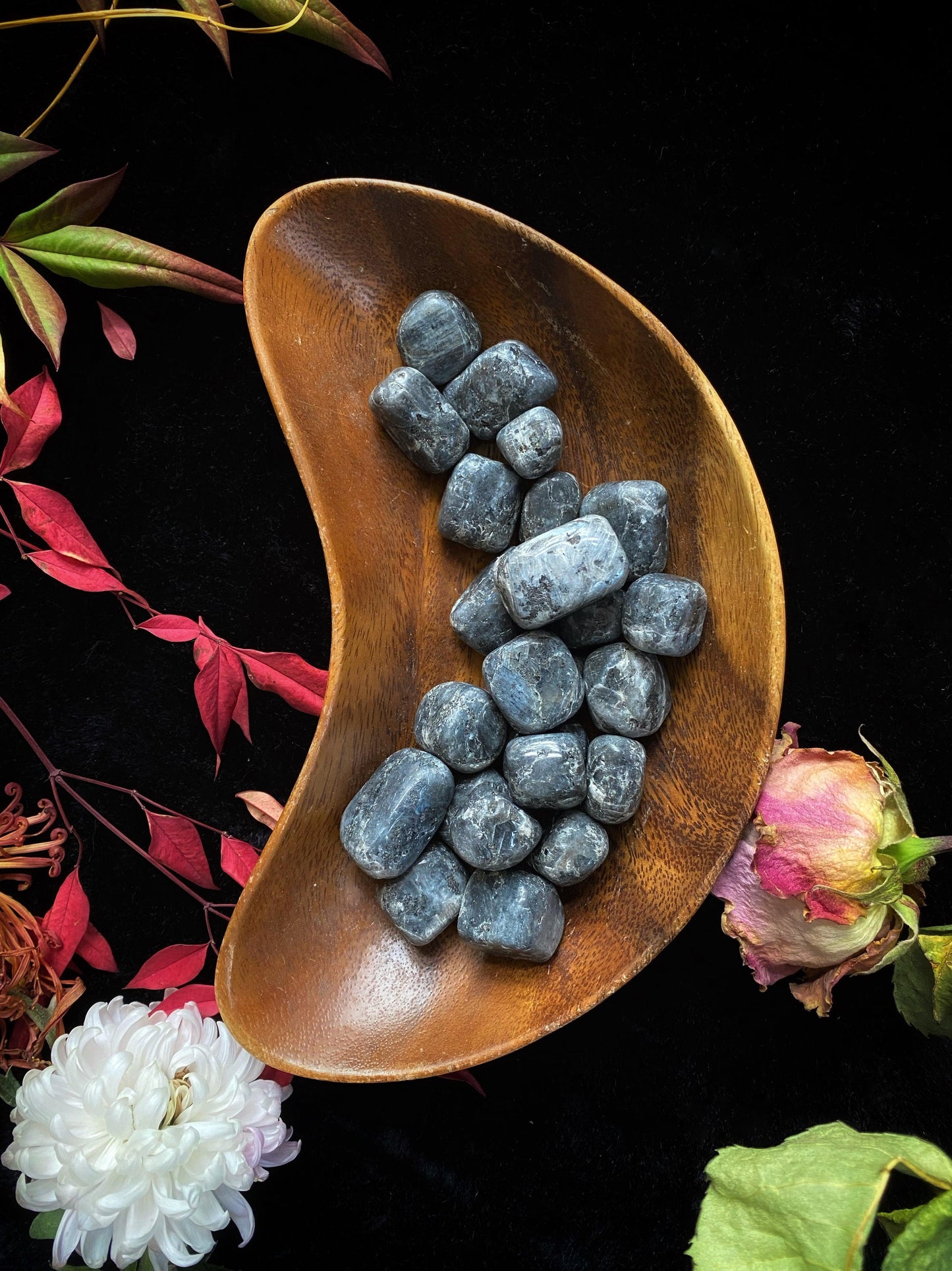 Larkavite Black Moonstone - Tumbled - The Leafy Branch