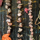 Leopard Skin Jasper - Tumbled - The Leafy Branch