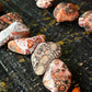 Leopard Skin Jasper - Tumbled - The Leafy Branch