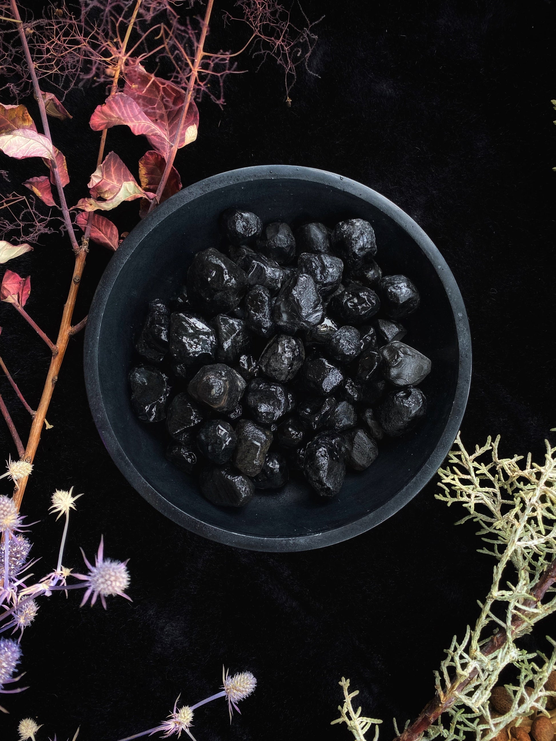 Apache's Tears Obsidian (Black) - Raw - The Leafy Branch