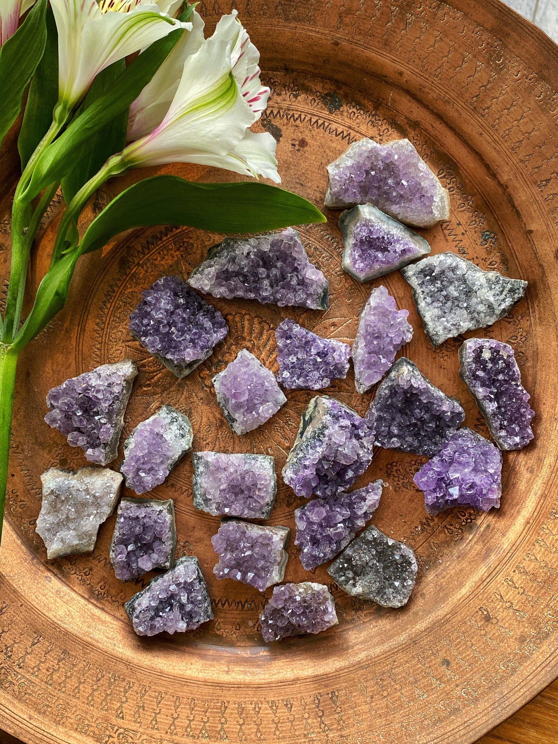 Amethyst Quartz Clusters - The Leafy Branch
