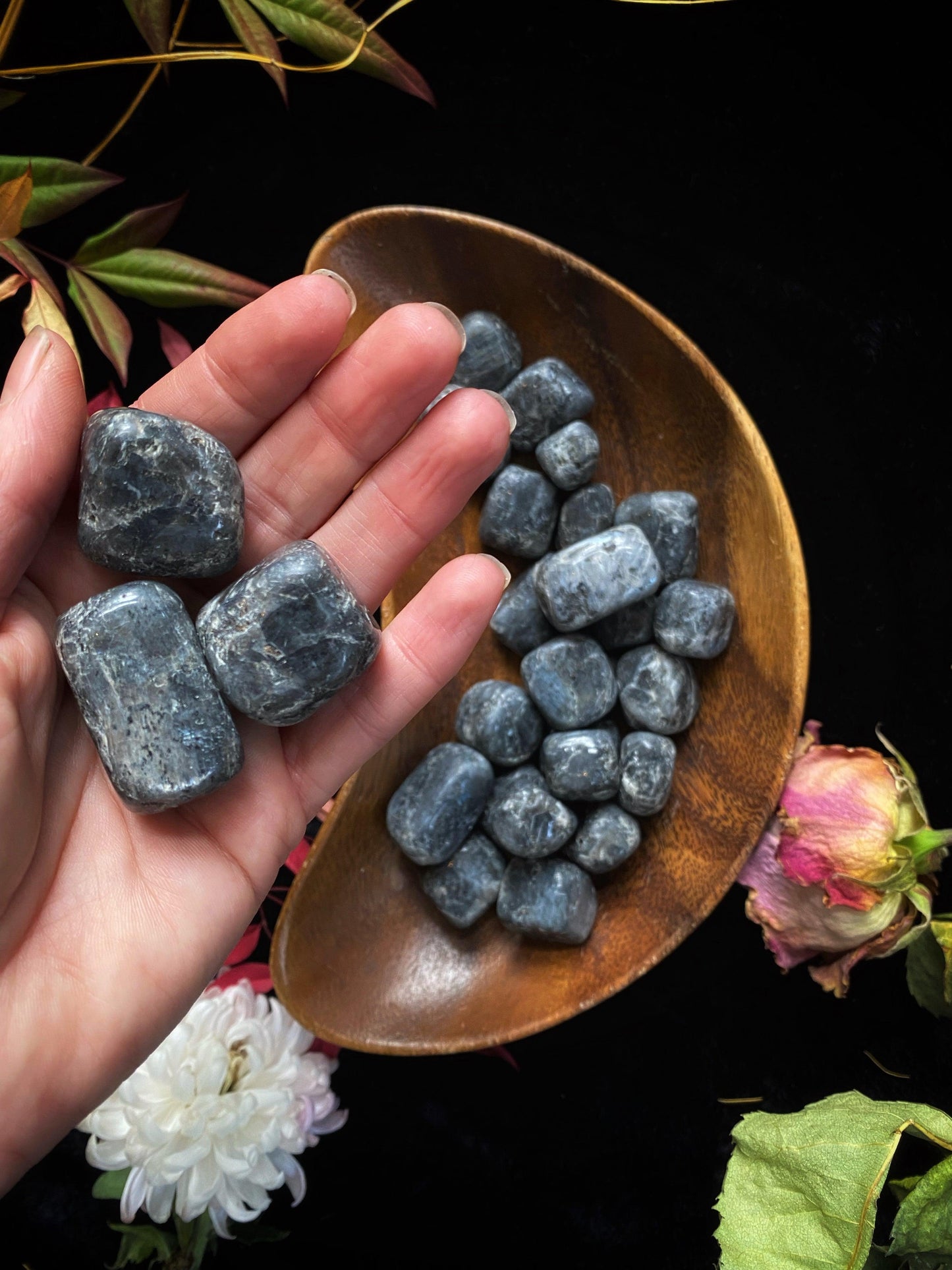 Larkavite Black Moonstone - Tumbled - The Leafy Branch