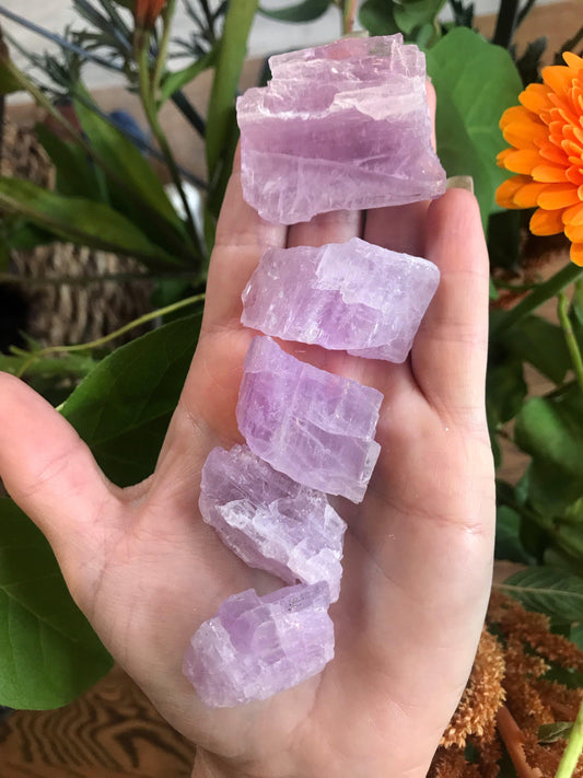 Crystal - Pink Kunzite - The Leafy Branch