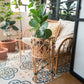 Iris Planter - The Leafy Branch
