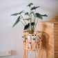 Iris Planter - The Leafy Branch
