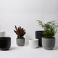 Bell Planter