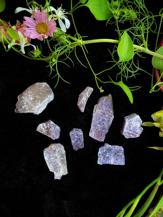 Lepidolite (Purple) - Raw Mica Slices - The Leafy Branch