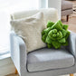 Lil' Pop Succulent®  - Olive Green