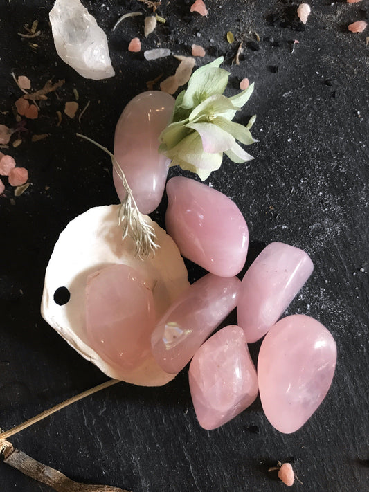 Tumbled Rose Quartz - The Leafy Branch