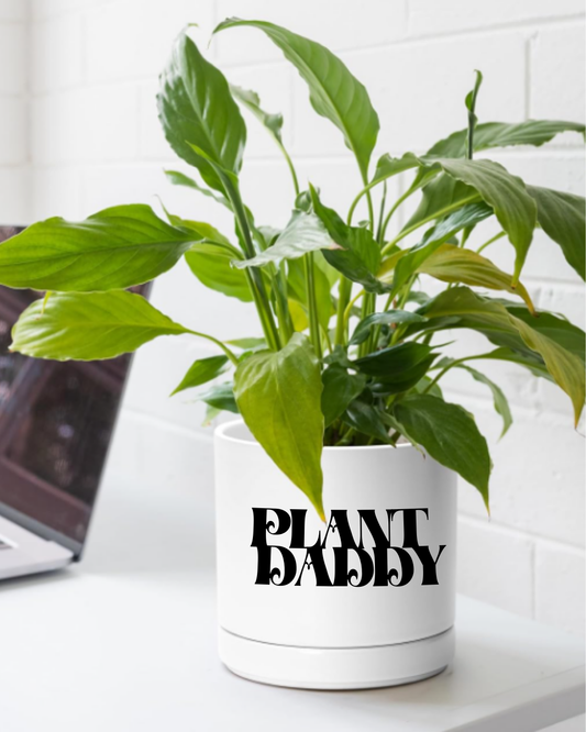Plant Daddy Planter- White
