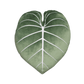 Philodendron Gloriosum Leaf Pillow - Moody Green