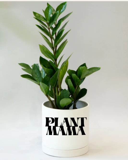Plant Mama Planter- White
