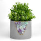 FLUORITE GEODE PLANTER- 6in