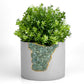 GREEN APATITE PLANTER- 6in