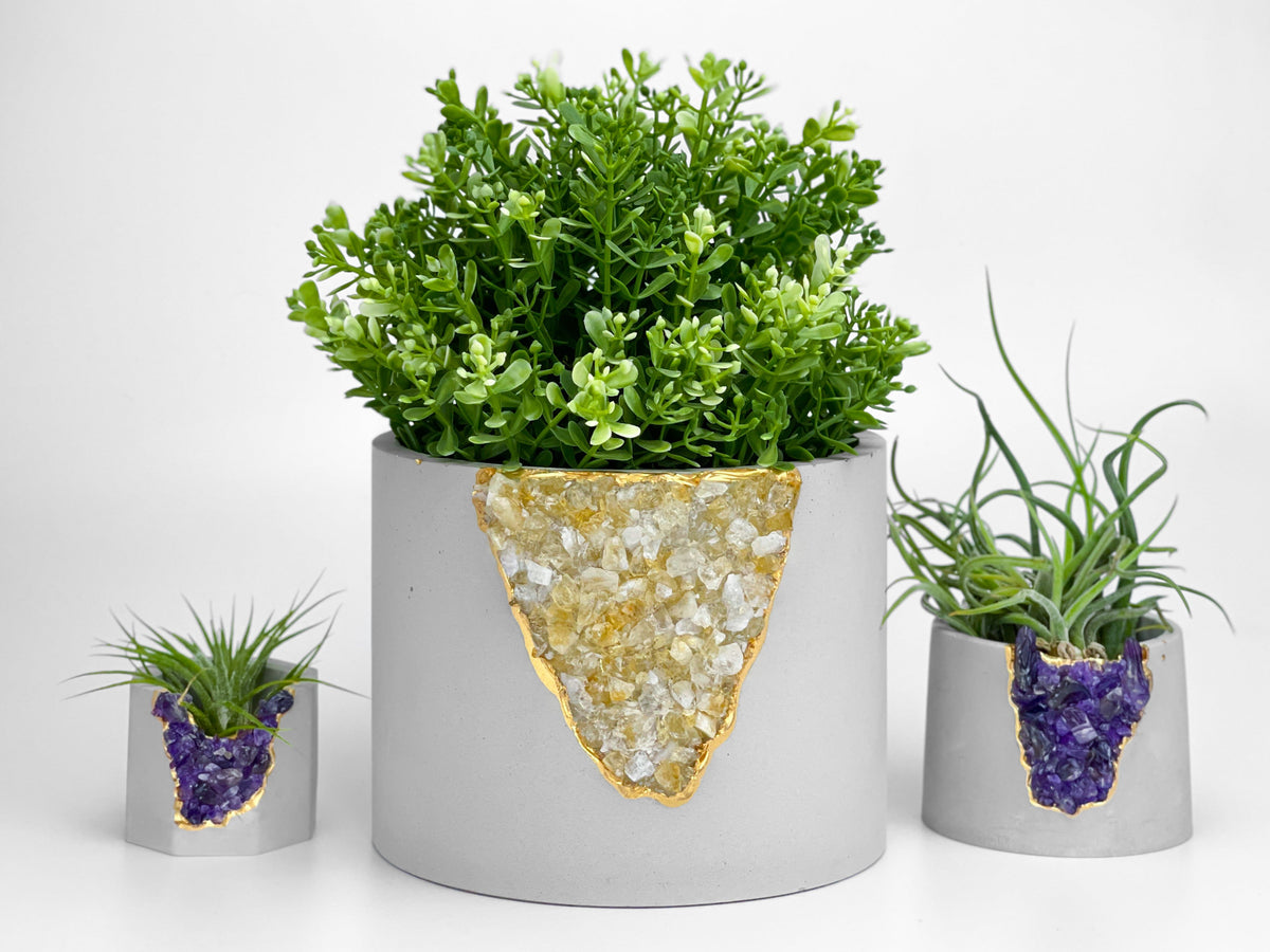 CITRINE PLANTER- 6in