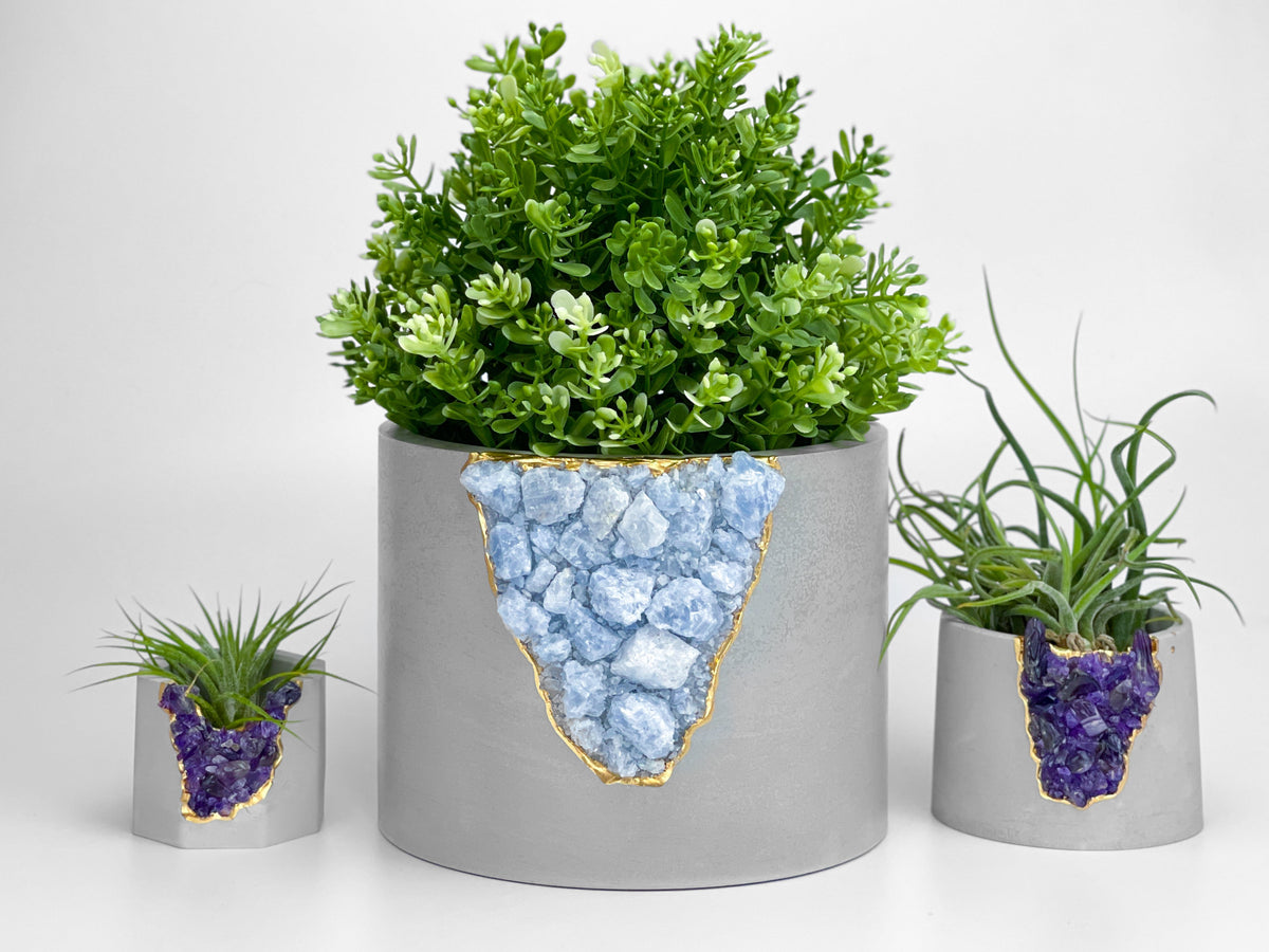 BLUE CALCITE PLANTER- 6in