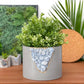 BLUE CALCITE PLANTER- 6in