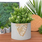 CITRINE PLANTER- 6in