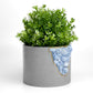 BLUE CALCITE PLANTER- 6in