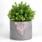 ROSE QUARTZ PLANTER - 6in