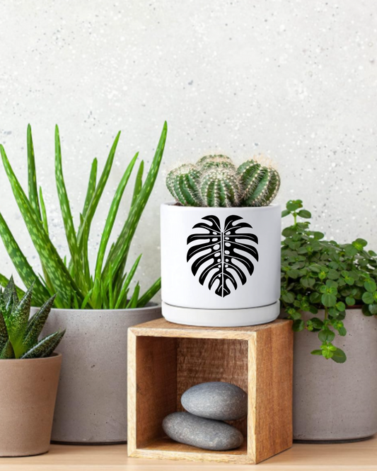 Signature Ceramic Monstera Planter- White