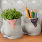 Rose Quartz Butt Planter - The Leafy Branch