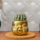 Baby Face Succulent Planter - The Leafy Branch